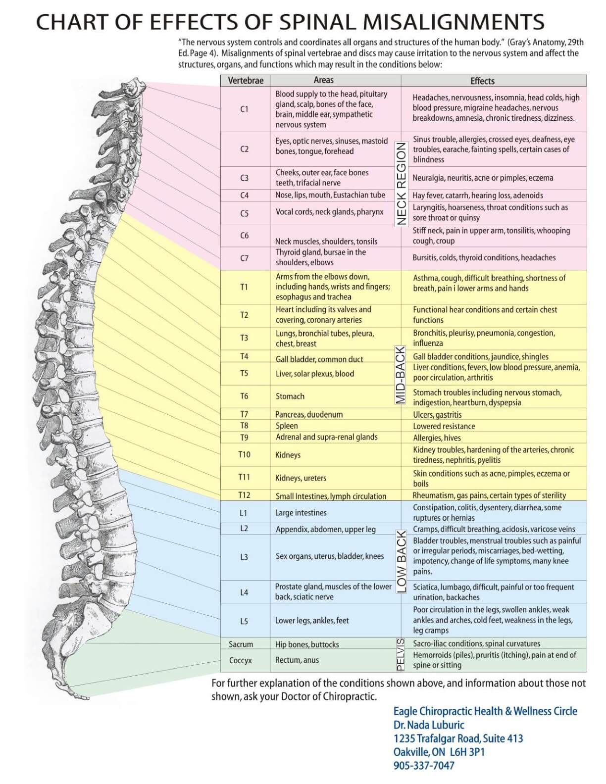 Spinal Misalignment Chart